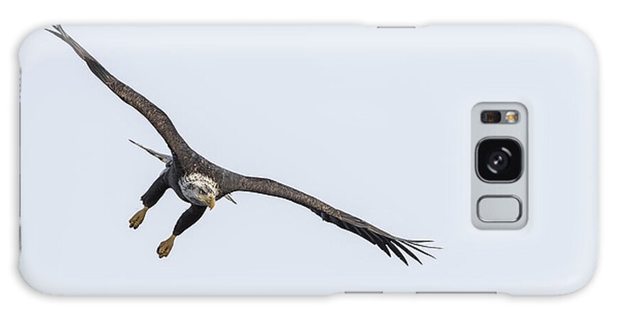 American Bald Eagle Galaxy Case featuring the photograph Target Locked On by Thomas Young
