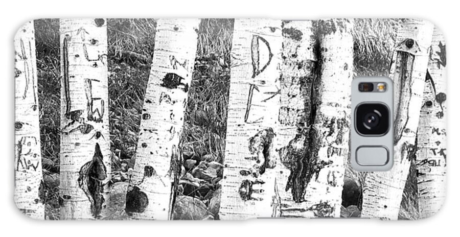 Birch Tree Galaxy Case featuring the photograph Tattoo Trees by Rebecca Margraf