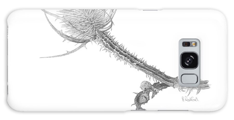 Teasel Galaxy Case featuring the drawing Teasel by Peter Rashford