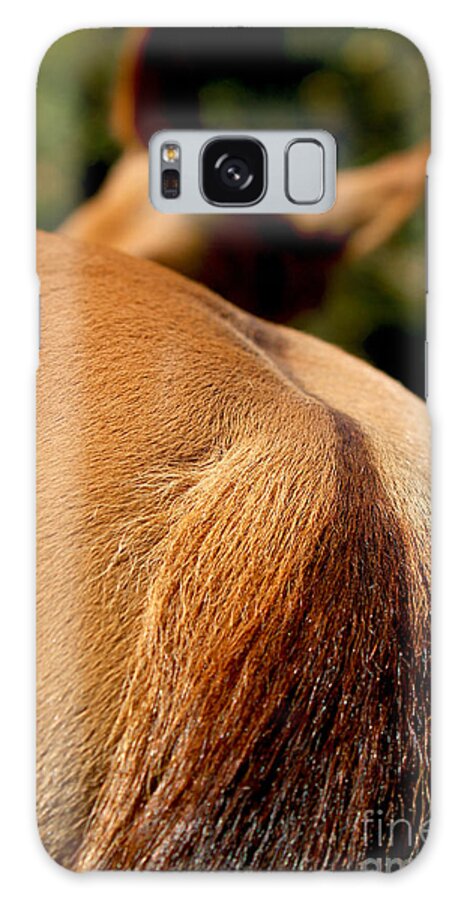 Nature Galaxy S8 Case featuring the photograph Tell It To Me Walkin' by Michelle Twohig