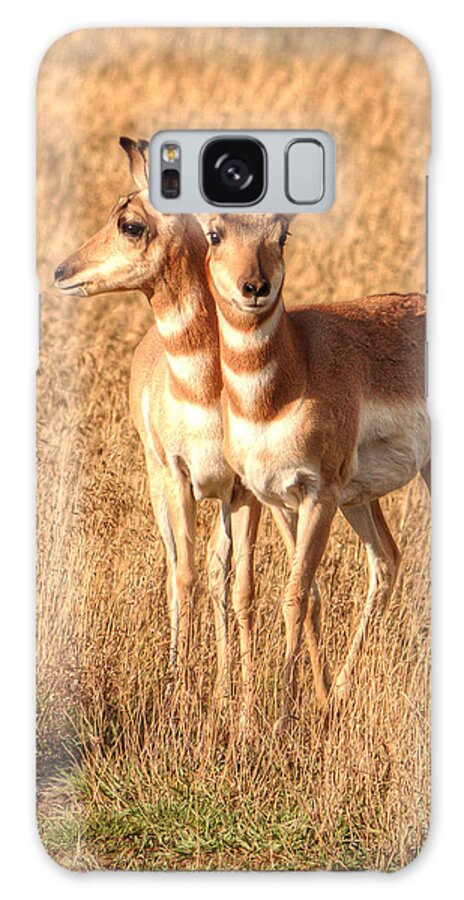 Antelope Galaxy Case featuring the photograph Teton Twins 0067 by Kristina Rinell