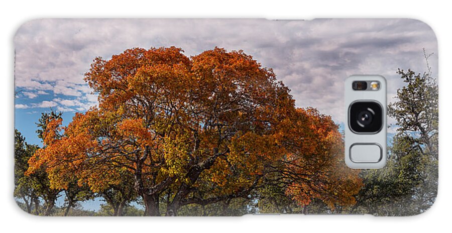 Central Galaxy Case featuring the photograph Texas Red Oak on Fire in the Hill Country - Fall Foliage Season in Central Texas by Silvio Ligutti