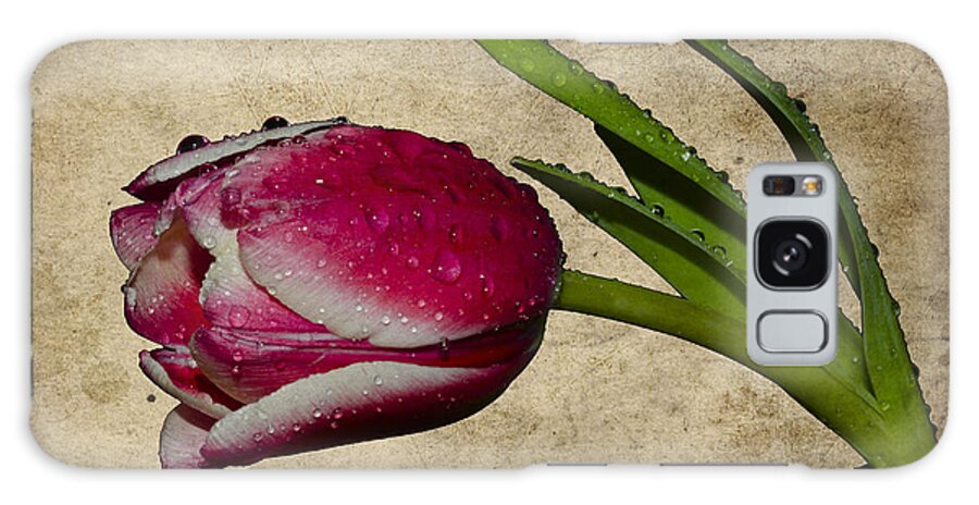 Tulip Galaxy Case featuring the photograph Textured tulip in the rain by Steev Stamford