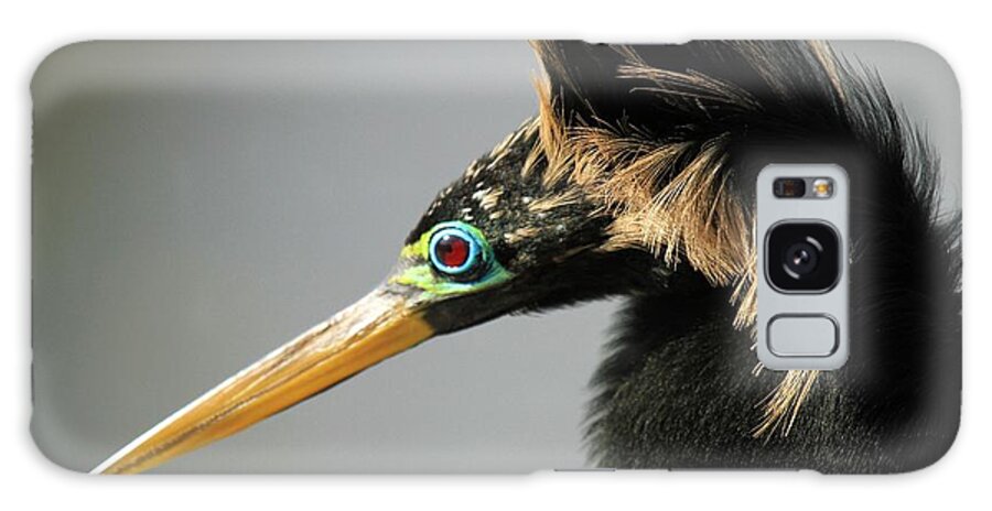 Anhinga Galaxy Case featuring the photograph The 80's Look by Adam Jewell