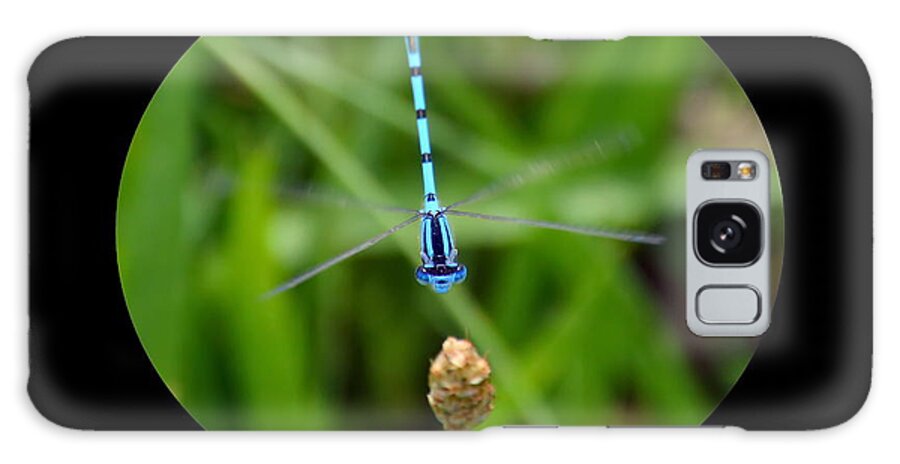 Gibson Ranch Galaxy Case featuring the photograph The Blue Dragonfly by Christina Ochsner