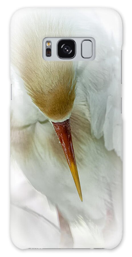 Egret Galaxy Case featuring the photograph The Bow by Ghostwinds Photography