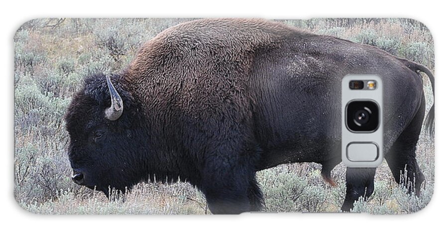 America Bison Galaxy Case featuring the photograph The Bull II by Lisa Holland-Gillem