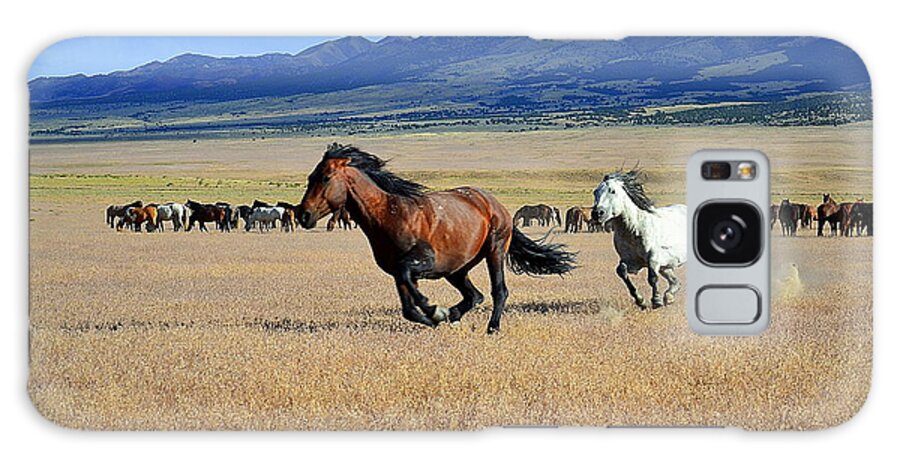 Horse Horses Mustang Wild Mustangs Stallion Desert Utah Galaxy Case featuring the photograph The Chase by Dirk Johnson