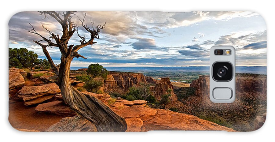 Colorado National Monument Galaxy Case featuring the photograph The Crooked Old Tree by Ronda Kimbrow