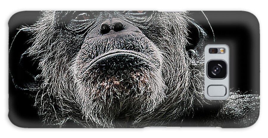 Chimpanzee Galaxy Case featuring the photograph The Dictator by Paul Neville