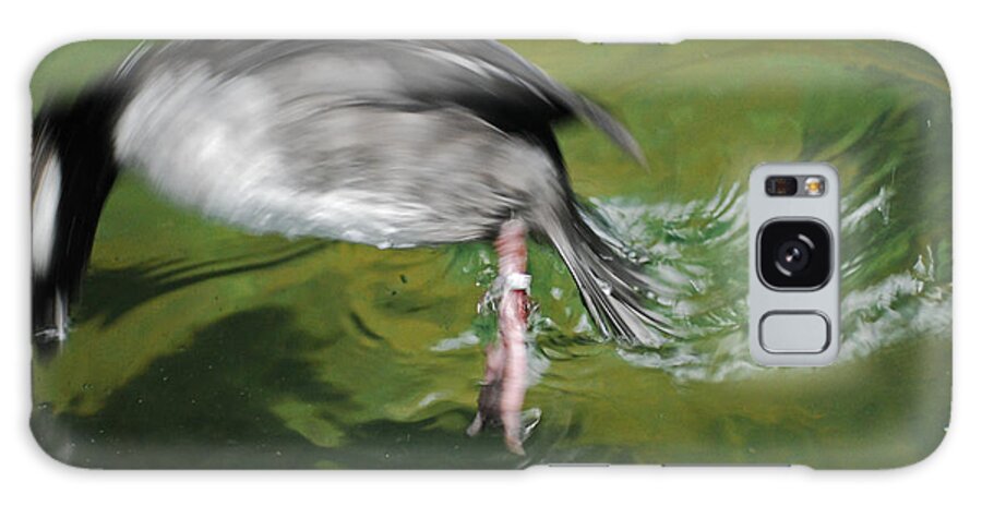 Animal Galaxy Case featuring the photograph The Dive by Maggy Marsh