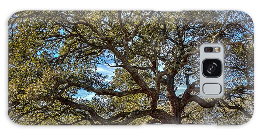 Emancipation Oak Galaxy Case featuring the photograph The Emancipation Oak Tree at HU by Jerry Gammon