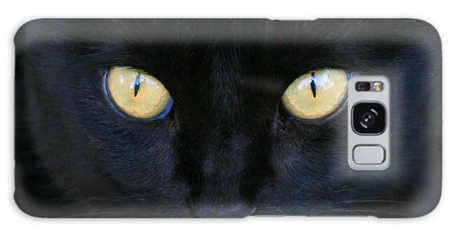 Fauna Galaxy Case featuring the photograph The Eyes Have It by Mariarosa Rockefeller