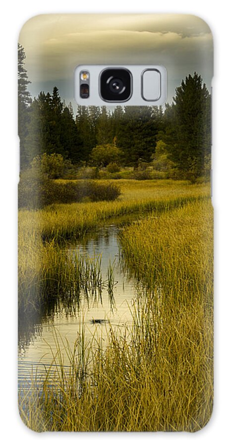 California Galaxy S8 Case featuring the photograph The fish are biting at Rock Creek by Joe Doherty