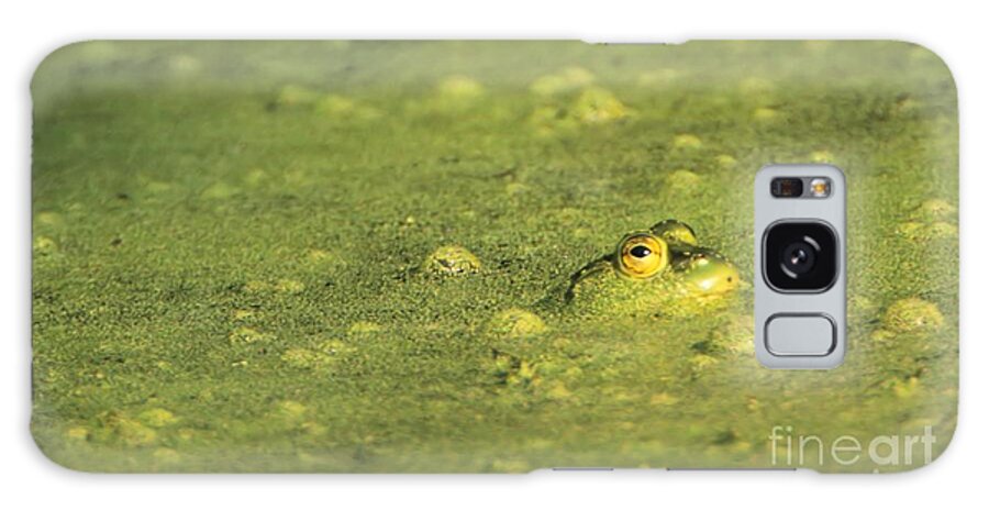 Amphibian Galaxy Case featuring the photograph The Frog in Green Algae by John Harmon