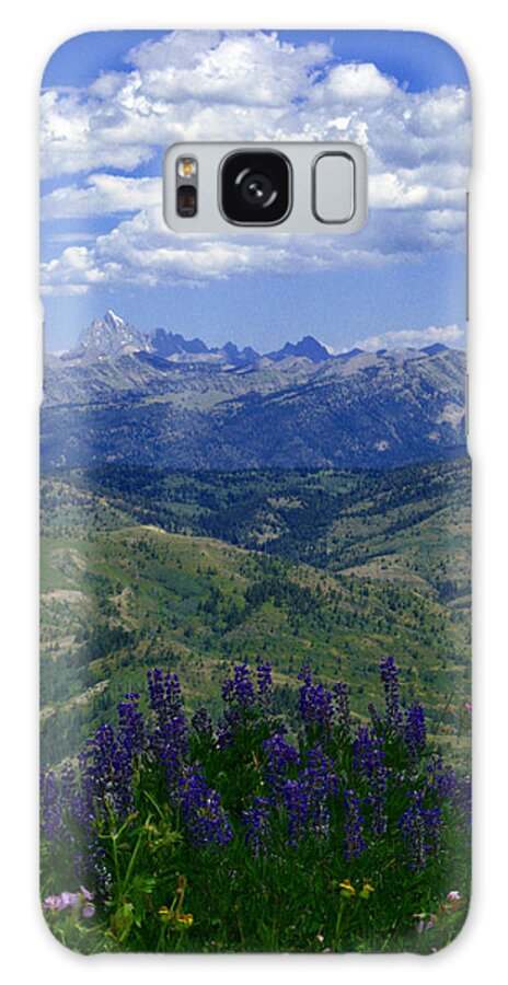 Lupines Galaxy S8 Case featuring the photograph The Grand and Lupines by Raymond Salani III