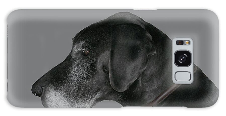Dog Galaxy Case featuring the photograph The Great Dane by Barbara S Nickerson
