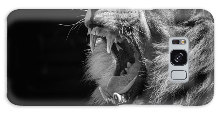 B&w Lion Galaxy Case featuring the photograph The Growl by Ken Barrett