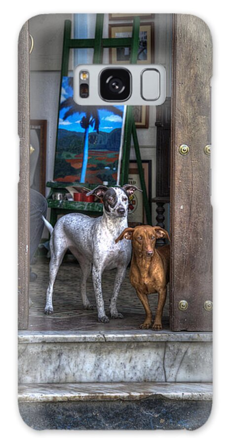 Dog Galaxy Case featuring the photograph The Guards by Roni Chastain