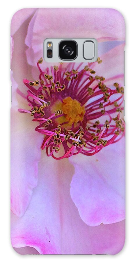 Macro Galaxy Case featuring the photograph The Heart of a Rose by Venetia Featherstone-Witty