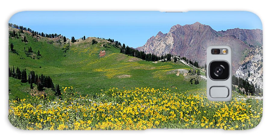 Albion Basin Galaxy Case featuring the photograph The Hills are Alive by Marty Fancy