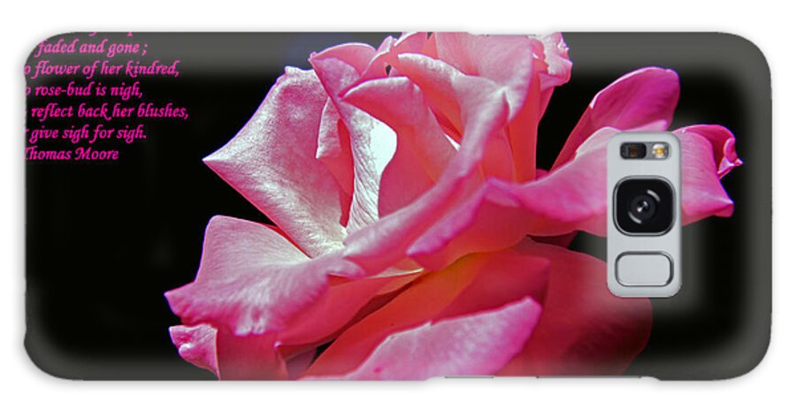 Rose Galaxy Case featuring the photograph The last rose of summer by Andy Lawless