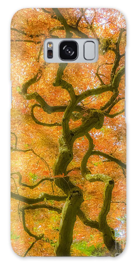 The Magic Forest Galaxy Case featuring the photograph The Magic Forest-15 by Casper Cammeraat