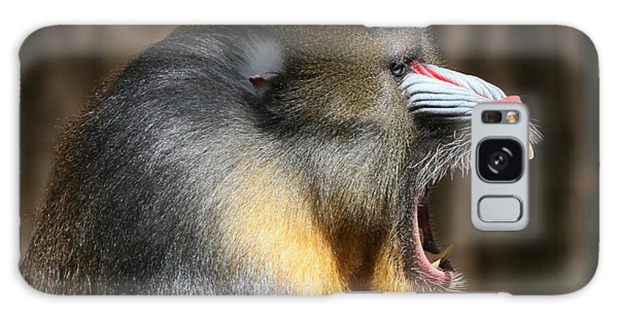 Mature Adult Galaxy Case featuring the photograph The Mandrill Sergeant by Ger Bosma