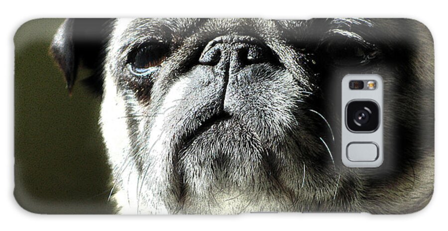 Dog Galaxy Case featuring the photograph The Matriarch by Michael Eingle