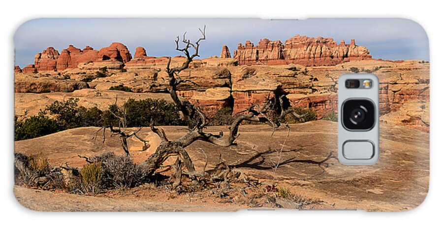 The Galaxy Case featuring the photograph The Needles at Canyonlands National Park by Tranquil Light Photography