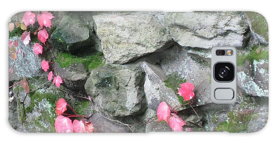 Pink Galaxy Case featuring the photograph The Old Rock Wall by Carolyn Jacob