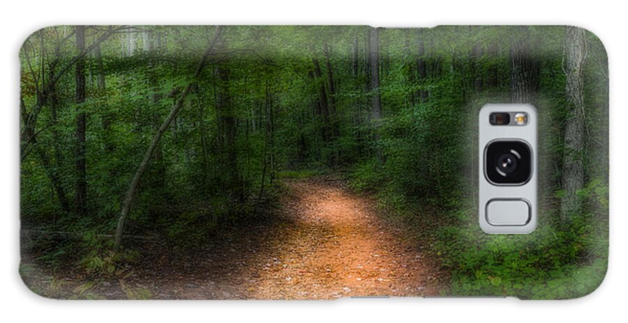 Mountain Galaxy Case featuring the photograph The Path Ahead by Harry B Brown