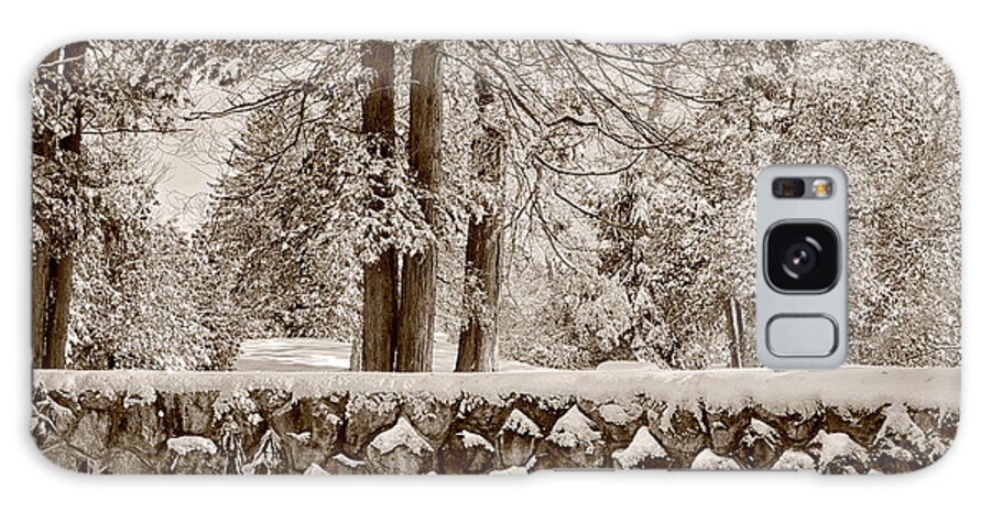 Nature Galaxy Case featuring the photograph The Serenity of Winter by Tricia Marchlik