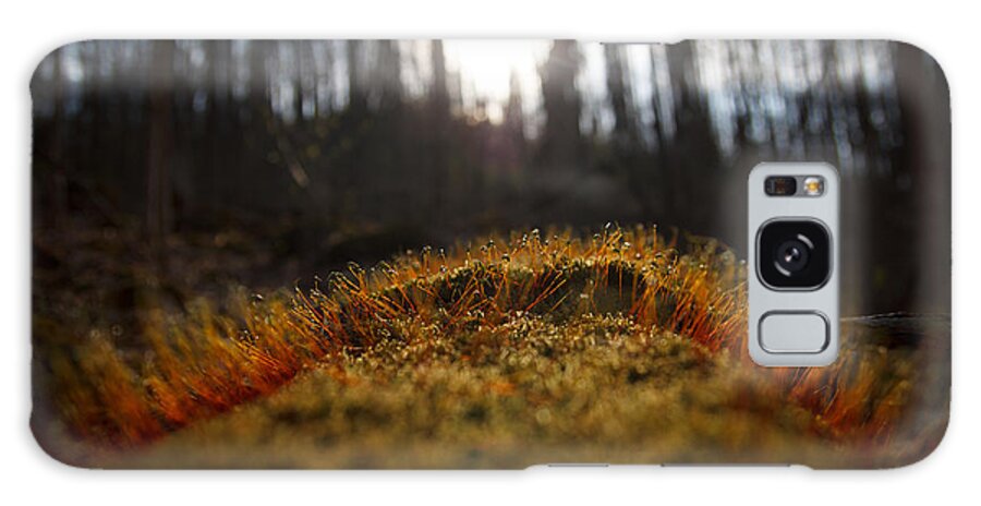 Moss Galaxy Case featuring the photograph The setting sun by Shane Holsclaw