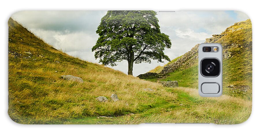 Tree Galaxy Case featuring the photograph The Sycamore Gap along Hadrians Wall by Mary Jane Armstrong