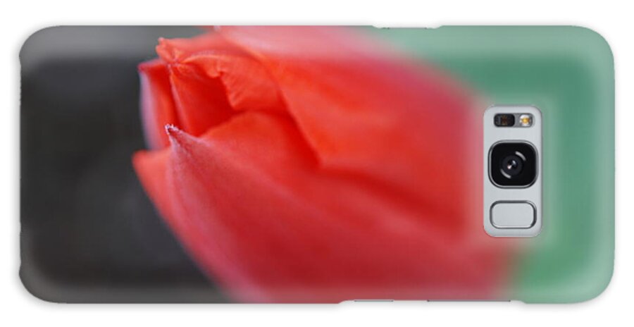 Tulip Galaxy Case featuring the photograph The Tip of the Tulip by Kathy Paynter