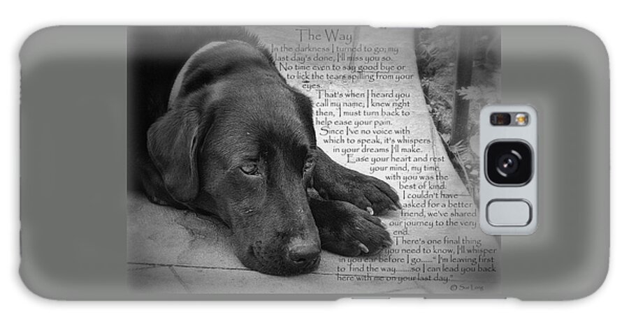 Inspirational Galaxy Case featuring the photograph The Way Black Lab by Sue Long