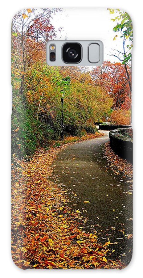 Autumn Galaxy Case featuring the photograph The Winding Road by Ydania Ogando