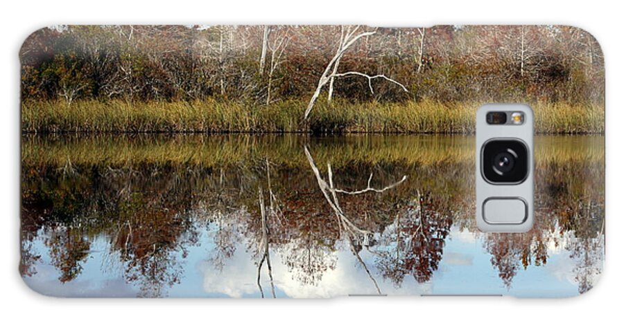 Lake Galaxy Case featuring the photograph The Winter Tree by Debra Forand