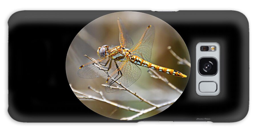 Gibson Ranch Galaxy Case featuring the photograph The Yellow Dragonfly by Christina Ochsner