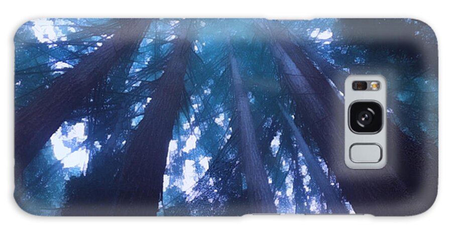 Redwoods Galaxy Case featuring the photograph Their tops poke right up through the sky by Suzy Norris