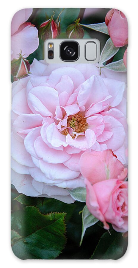 Rose Galaxy Case featuring the photograph Thinking Of You by Roxy Hurtubise