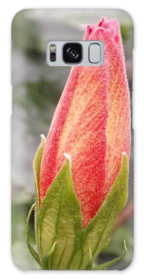 Garden Galaxy Case featuring the photograph This Bud For You by Lingfai Leung
