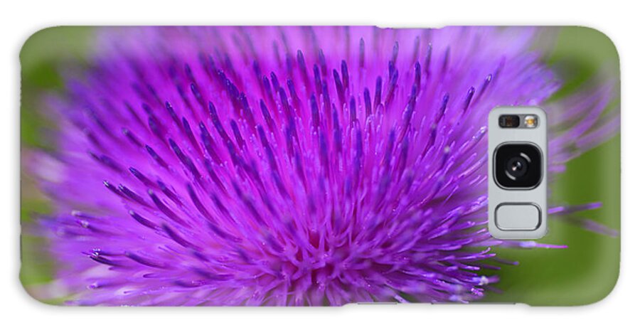 Thistle Flower Galaxy Case featuring the photograph Thistle Flower by Nancy Dunivin