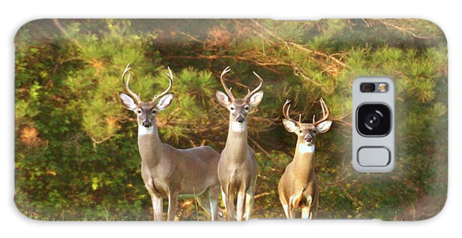 Whitetail Deer Galaxy Case featuring the photograph Three Amigos by Robert Camp