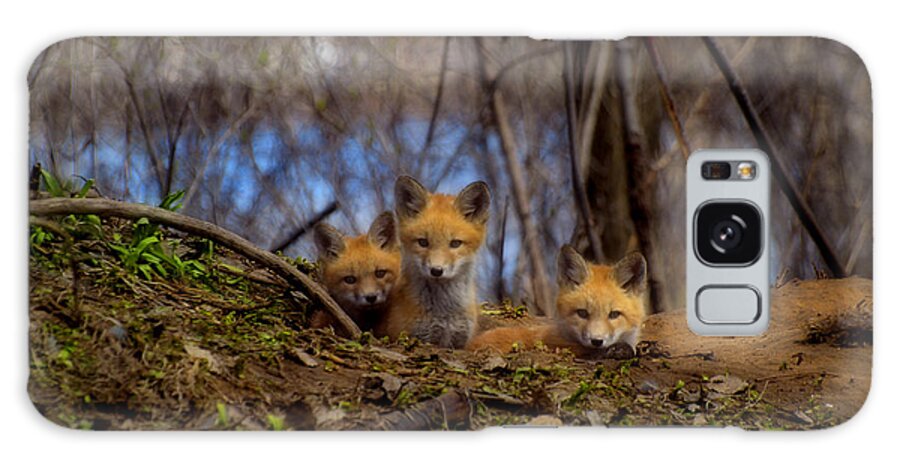 Red Foxes Galaxy Case featuring the photograph Three Cute Kit Foxes At Attention by Thomas Young