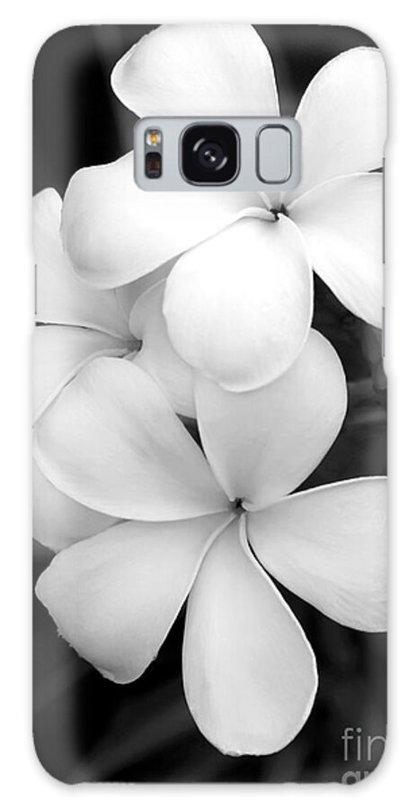 Macro Galaxy Case featuring the photograph Three Plumeria Flowers in Black and White by Sabrina L Ryan