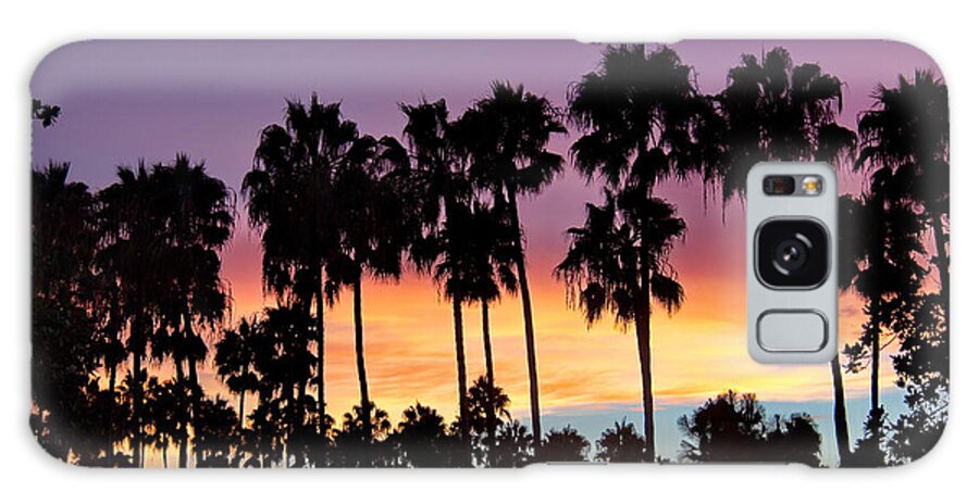 La Jolla Shores Galaxy S8 Case featuring the photograph Through The Palms Beach and Tennis Club by Russ Harris