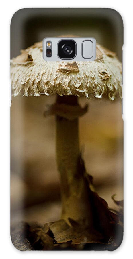 Mushroom Galaxy Case featuring the photograph Tiffany Shroom by Shane Holsclaw