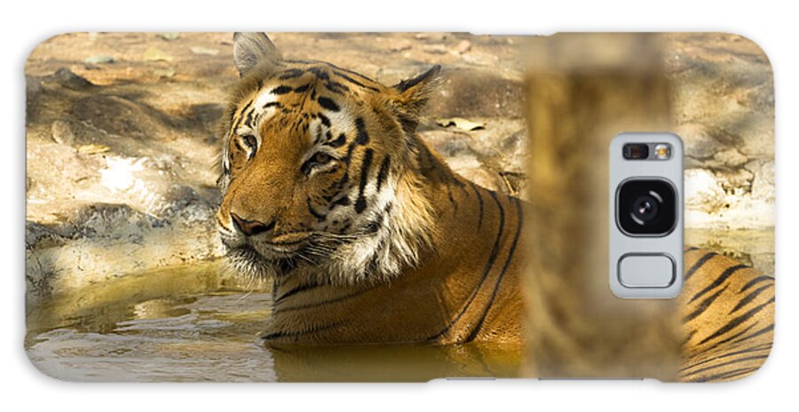 Bathing Galaxy Case featuring the photograph Tiger Bathing in a pool by James L Davidson